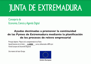 Ayudas destinadas a promover la continuidadde las Pymes de Extremadura mediante la planificación los procesos de relevo empresarial